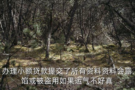 辦理小額貸款提交了所有資料資料會露餡或被盜用如果運氣不好真
