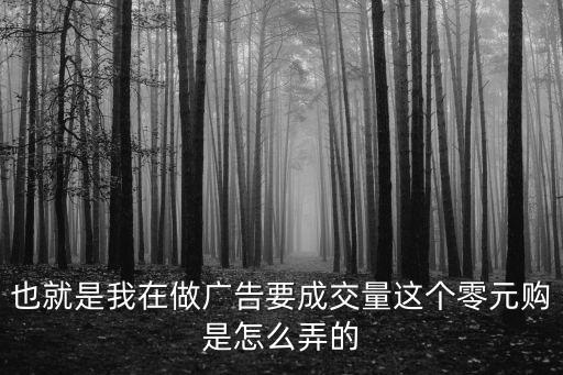 也就是我在做廣告要成交量這個(gè)零元購是怎么弄的