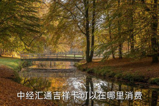 中經匯通加油卡怎么用，9折加油卡匯通樂駕包可以重復充值嗎在哪里充值