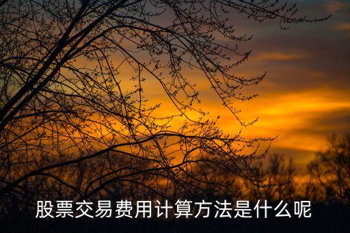 股票費用怎么算，股票交易費用計算方法是什么呢
