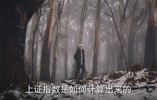 a股指數(shù)怎么計(jì)算的，上證指數(shù)是如何計(jì)算出來(lái)的