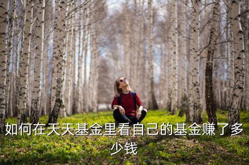 天天基金怎么看收益，天天基金活期寶收益在哪里可以看
