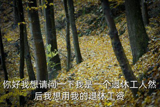 你好我想請(qǐng)問(wèn)一下我是一個(gè)退休工人然后我想用我的退休工資