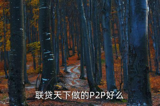 聯(lián)貸天下做的P2P好么