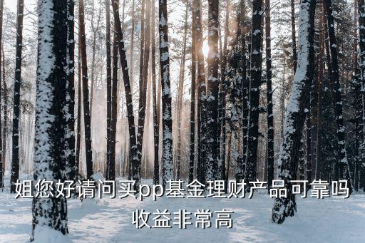 姐您好請(qǐng)問(wèn)買(mǎi)pp基金理財(cái)產(chǎn)品可靠嗎收益非常高