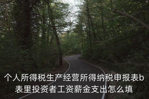 個人所得稅生產(chǎn)經(jīng)營所得納稅申報表b表里投資者工資薪金支出怎么填