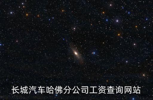 長城汽車哈佛分公司工資查詢網(wǎng)站