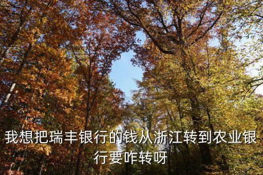 我想把瑞豐銀行的錢從浙江轉(zhuǎn)到農(nóng)業(yè)銀行要咋轉(zhuǎn)呀
