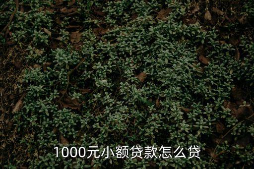網(wǎng)上借1000元怎么借，手機(jī)在線實(shí)時(shí)借款1000元怎么弄