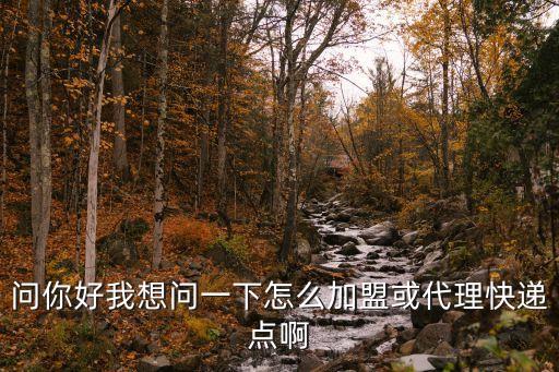 安心買吧怎么加盟代理，如何加盟代理