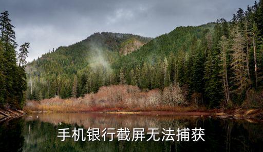 手機銀行截屏無法捕獲