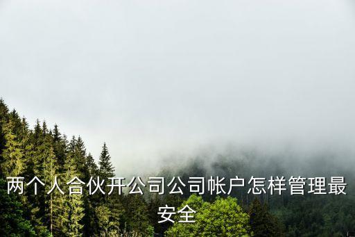 兩個人合伙開公司公司帳戶怎樣管理最安全