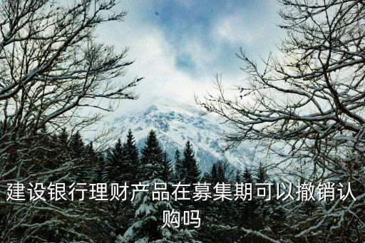 建設(shè)銀行理財產(chǎn)品在募集期可以撤銷認(rèn)購嗎