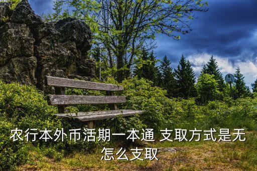 農(nóng)行本外幣活期一本通 支取方式是無(wú) 怎么支取