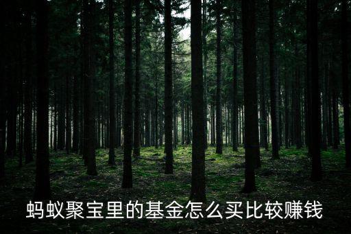 螞蟻聚寶里的基金怎么買(mǎi)比較賺錢(qián)
