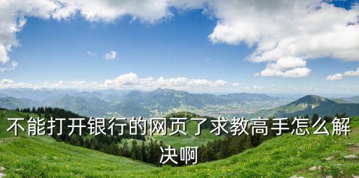 不能打開銀行的網(wǎng)頁了求教高手怎么解決啊