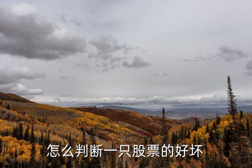 怎么判斷一只股票的好壞