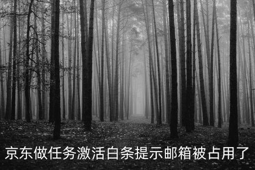 小金庫買理財怎么填資料，京東做任務(wù)激活白條提示郵箱被占用了