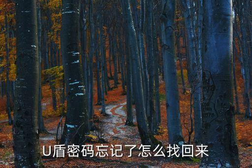 金融之家u盾密碼忘了怎么辦，U盾密碼忘記了怎么找回來
