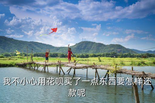 花唄買東西怎么還還錢，我不小心用花唄買了一點(diǎn)東西要怎樣還款呢
