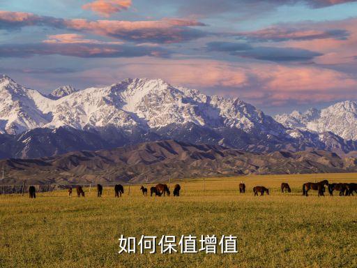 存款怎么保值，現(xiàn)在用什么辦法能讓錢保值