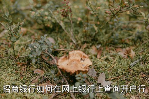 怎么查看招行卡開戶行，招商銀行如何在網上銀行上查詢開戶行