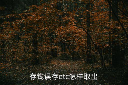 怎么把etc里面錢拿出來，錢充到ETC電子商戶了怎么弄出來