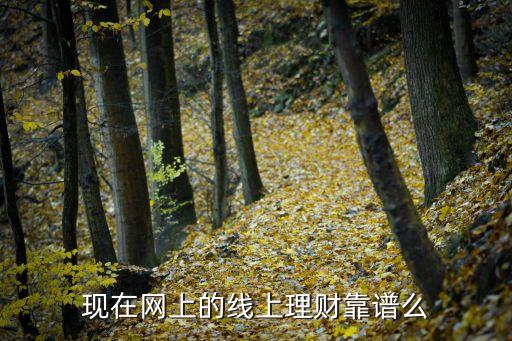 金融線上投資怎么樣，線上的金融理財怎么樣呢
