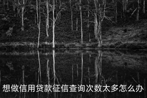 征信次數(shù)過多怎么辦，征信查詢次數(shù)多怎么辦