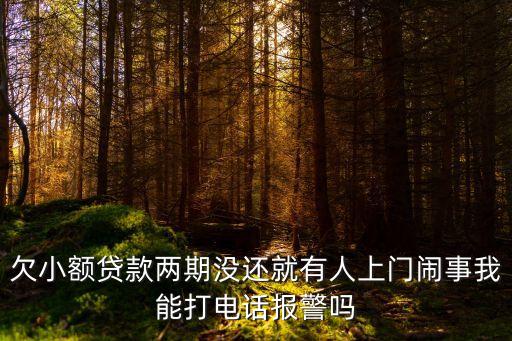 欠小額貸款兩期沒還就有人上門鬧事我能打電話報警嗎