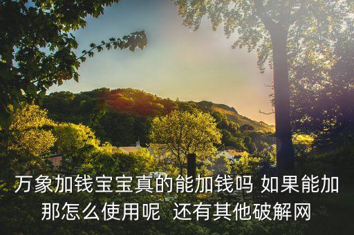 萬(wàn)象加錢(qián)寶寶真的能加錢(qián)嗎 如果能加那怎么使用呢  還有其他破解網(wǎng)
