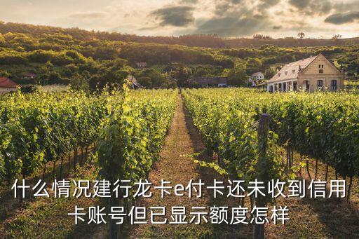 e付卡怎么能查到卡號，什么情況建行龍卡e付卡還未收到信用卡賬號但已顯示額度怎樣