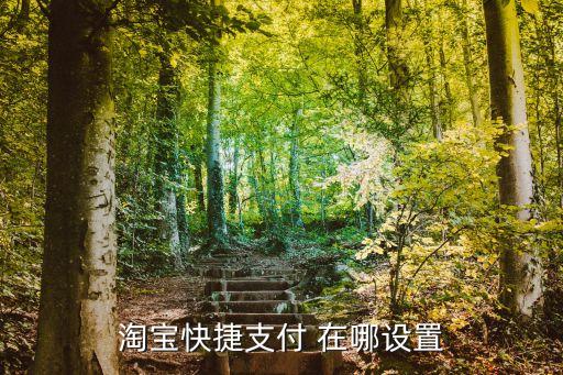淘寶快捷支付 在哪設(shè)置
