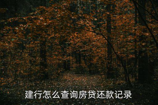 建行怎么查房貸還款，建行怎么查詢房貸還款記錄