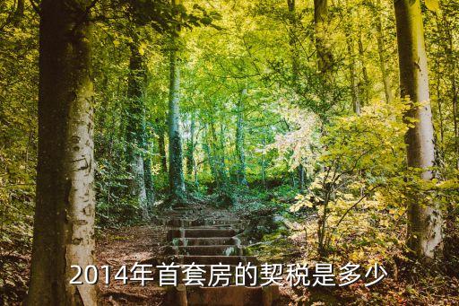 2014購房契稅怎么算，2014年買的首套房契稅怎么算