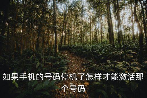 如果手機(jī)的號碼停機(jī)了怎樣才能激活那個(gè)號碼