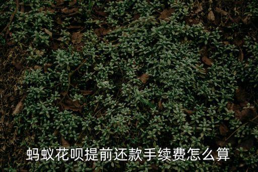 螞蟻花唄提前還款手續(xù)費怎么算