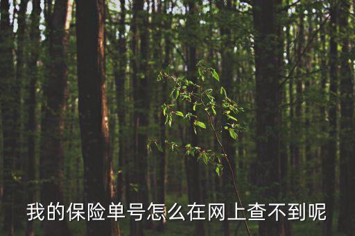我的保險單號怎么在網(wǎng)上查不到呢