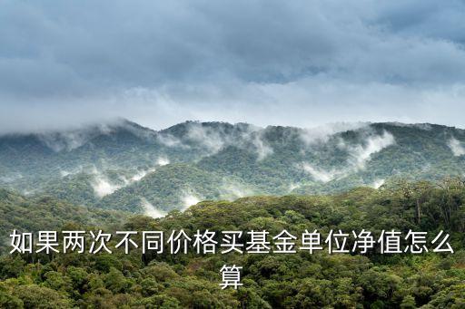 如果兩次不同價格買基金單位凈值怎么算