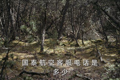 國(guó)泰航空怎么轉(zhuǎn)人工，國(guó) 泰 航 空 客 服 電 話 是 多 少