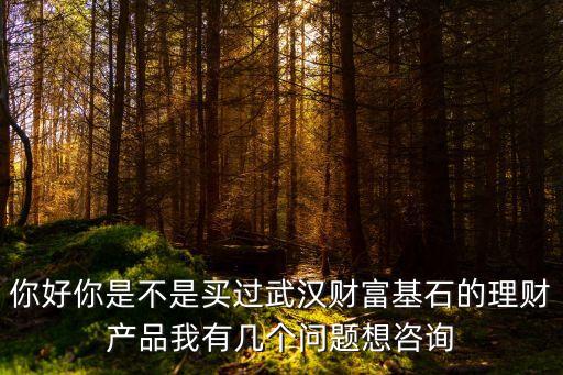財(cái)富基石出了問(wèn)題后來(lái)怎么解決的，財(cái)富基石投資人的去能拿回來(lái)嗎