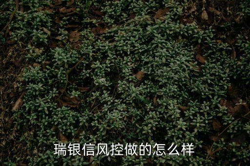 瑞銀信風(fēng)控做的怎么樣