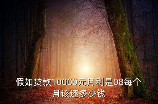 假如貸款10000元月利是08每個(gè)月該還多少錢