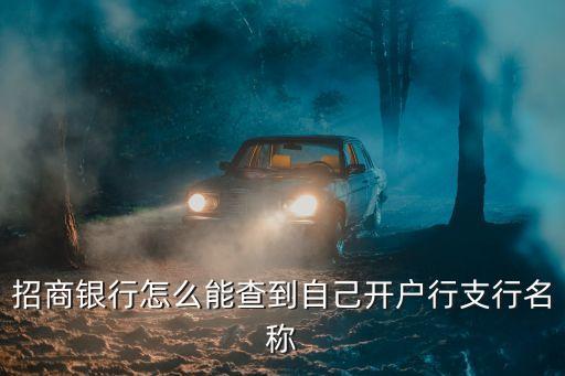 招商銀行怎么能查到自己開戶行支行名稱