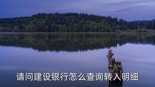 建行怎么查轉賬明細查詢，怎么查詢建設銀行賬號支付的交易明細
