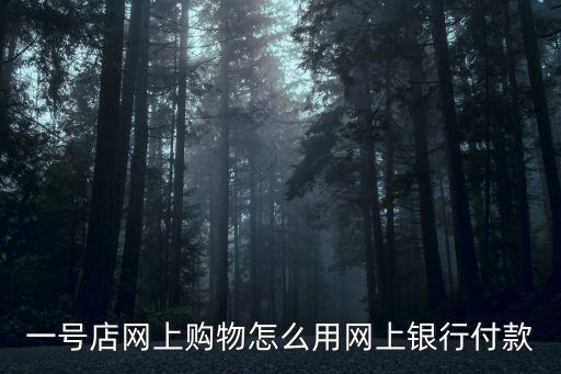 一號店網(wǎng)上購物怎么用網(wǎng)上銀行付款