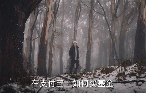 基金寶怎么買，支付寶上如何購買基金購買基金的前提條件是什么是否安全請詳