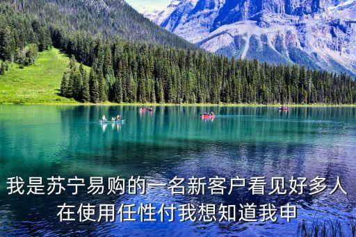 我是蘇寧易購的一名新客戶看見好多人在使用任性付我想知道我申