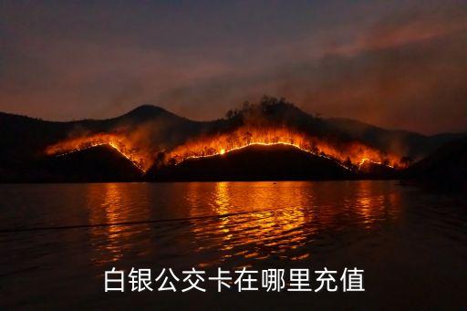 白銀公交卡在哪里充值