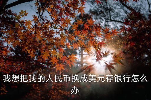 我想把我的人民幣換成美元存銀行怎么辦